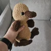 Virkattu vesinokkaeläin