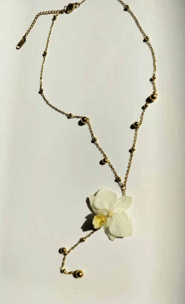 Y-kaulakoru orkidea