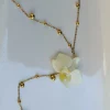 Y-kaulakoru orkidea