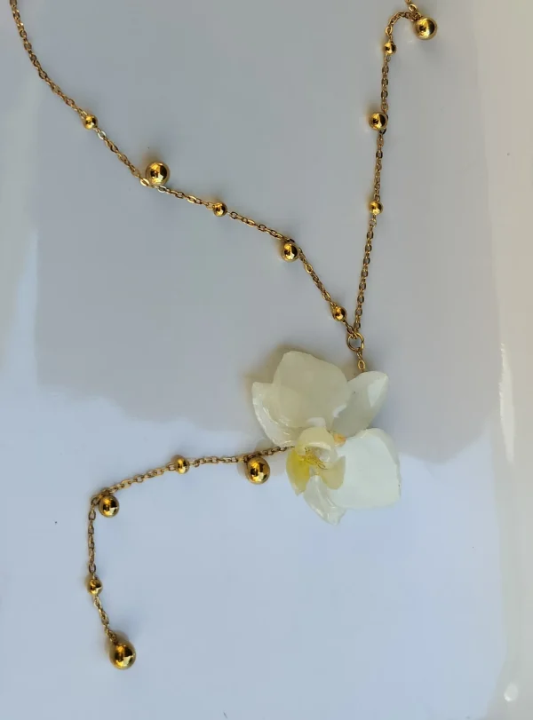 Y-kaulakoru orkidea