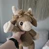Virkattu ylämaankarja