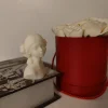 Echo