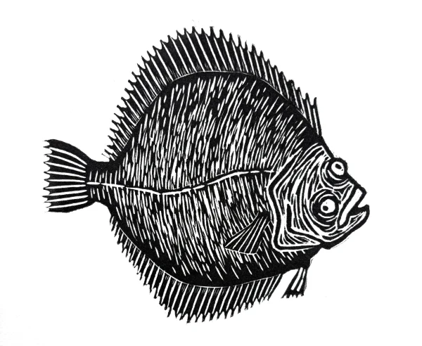 Kampela - linografiikka