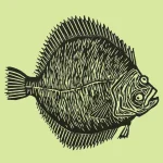 Heini Lindvall Art