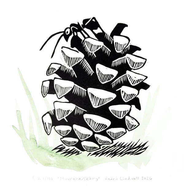 Muurahaiskäpy (E.v. 1/100) – linografiikka & akvarelli