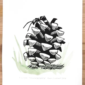 Muurahaiskäpy (E.v. 1/100) – linografiikka & akvarelli