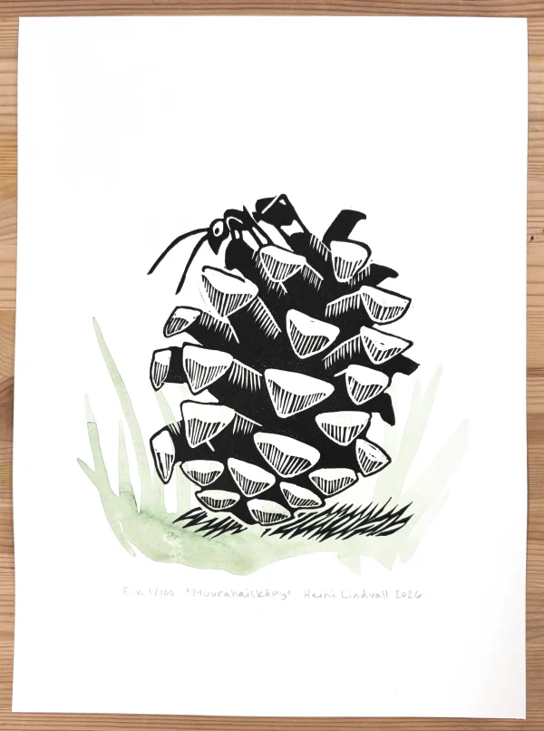 Muurahaiskäpy (E.v. 1/100) – linografiikka & akvarelli